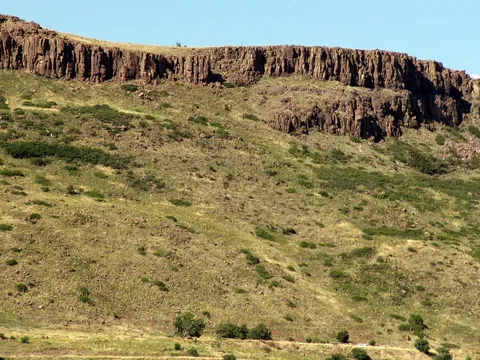 The columnar basalt cliffs that cap North Table Mountain, above a grassy slope dotted with shrubs